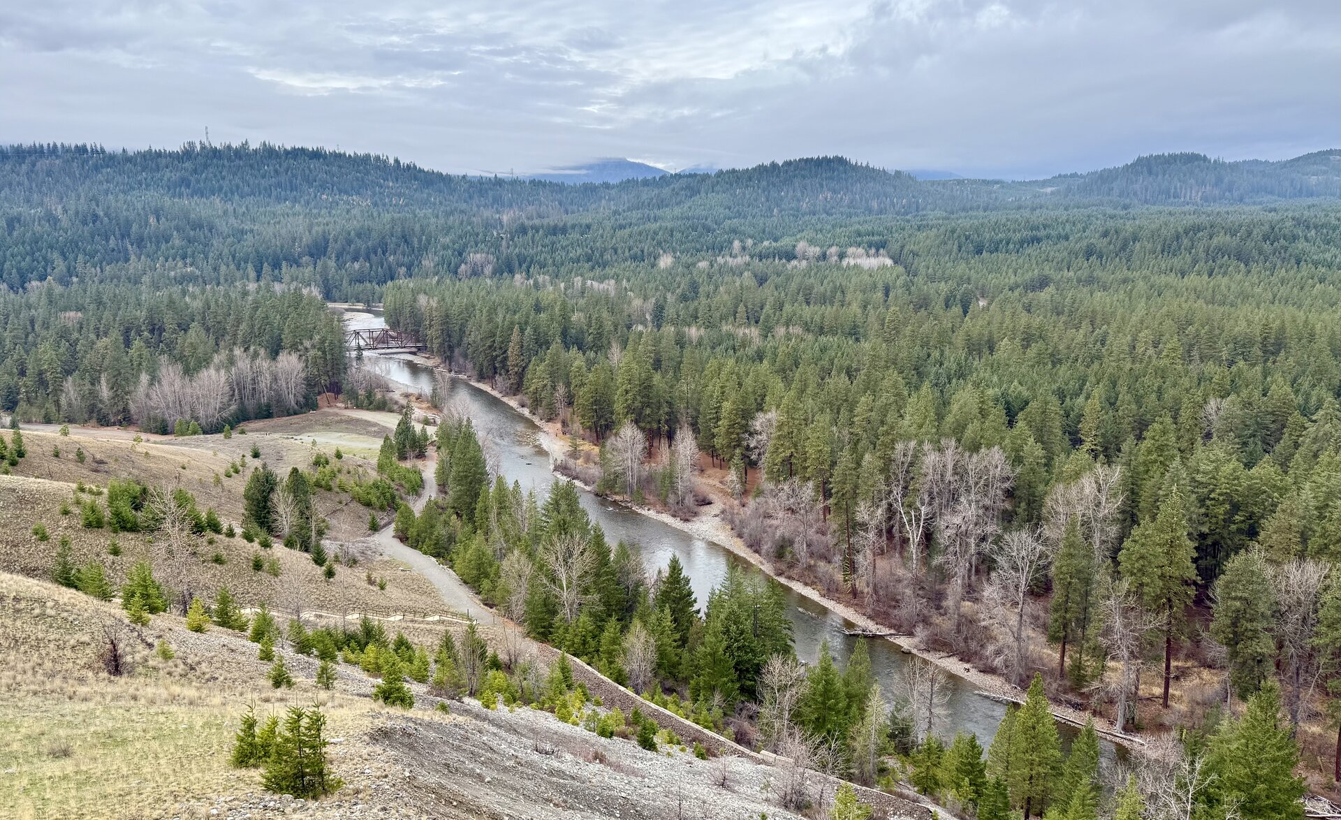 image from Model Context Protocol for Drupal