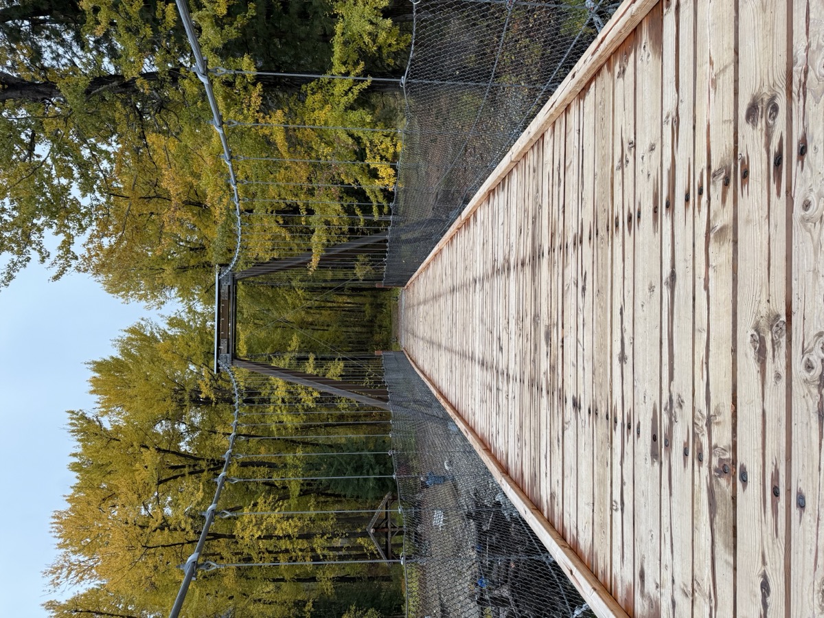 image from Native Drupal A/B Testing with Figma, Make, and MCP